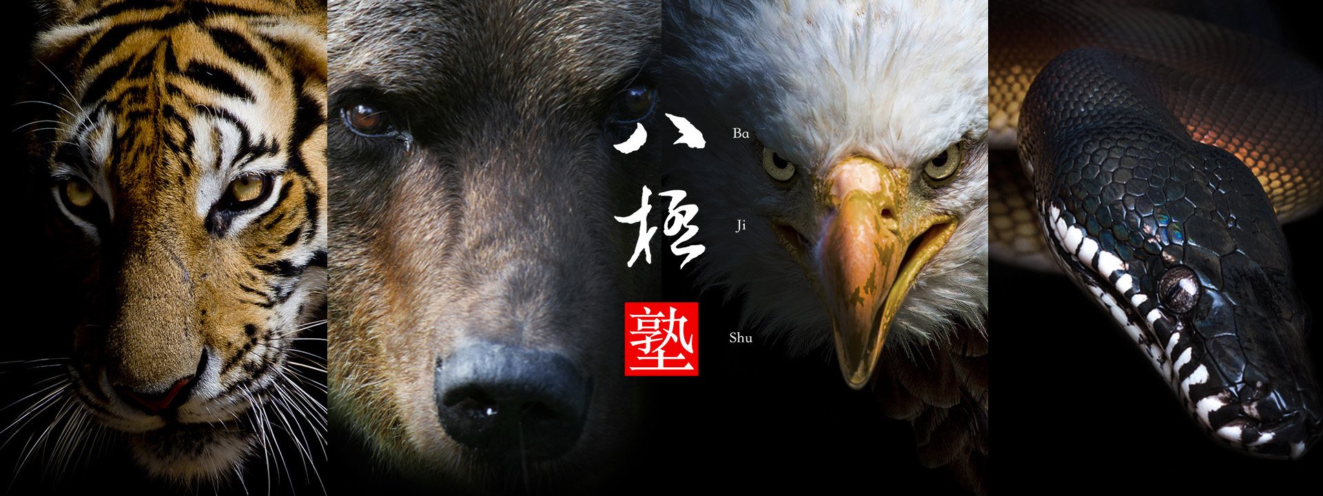 BajiShu_4animals_Banner
