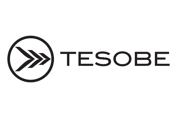 TESOBE Logo